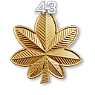 BF3 rank 43